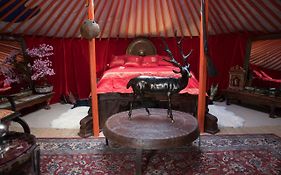 Crazy Lounge Bnb